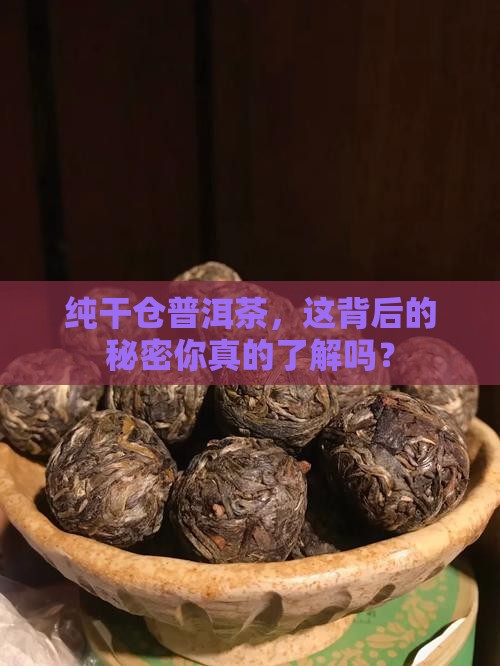 纯干仓普洱茶是真的吗