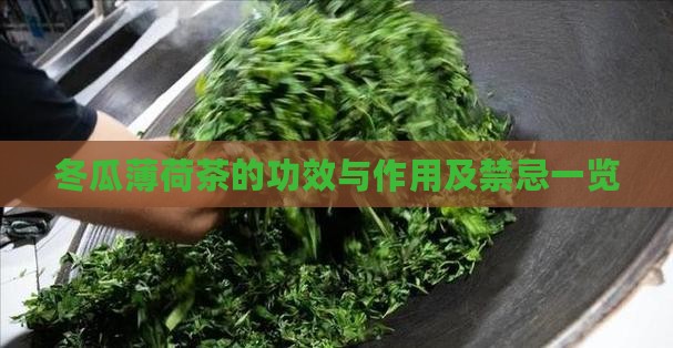 冬瓜薄荷茶的功效与作用 冬瓜薄荷茶的功效与作用
