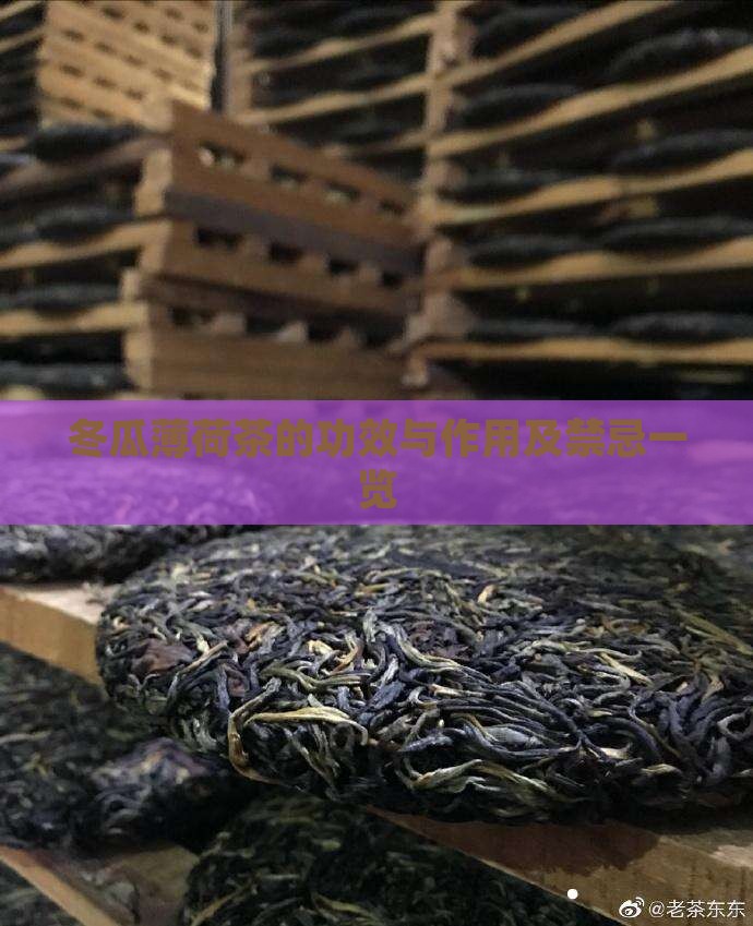 冬瓜薄荷茶的功效与作用 冬瓜薄荷茶的功效与作用