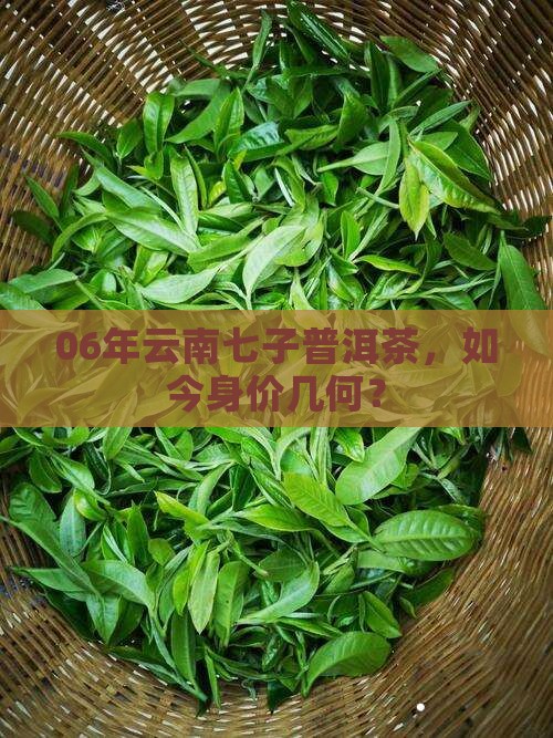 06年云南七子普洱茶价格