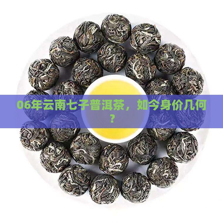 06年云南七子普洱茶价格