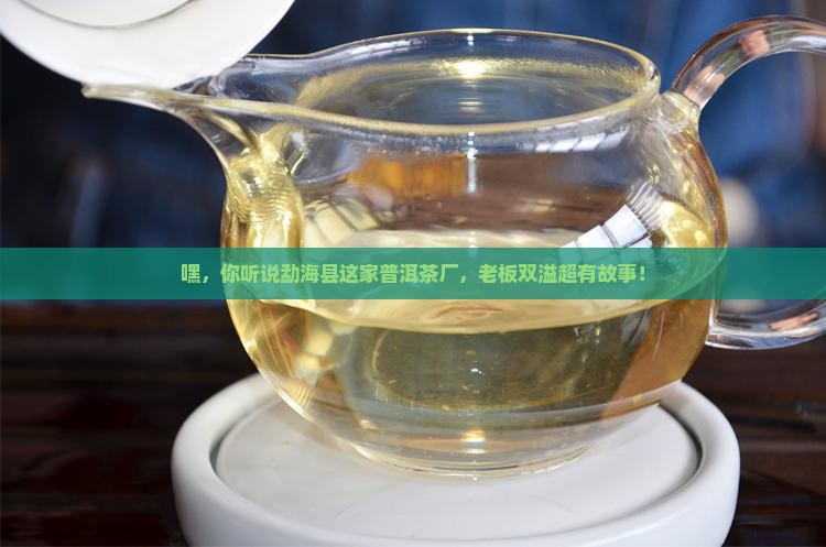 勐海县双溢普洱茶厂 勐海县双溢普洱茶厂