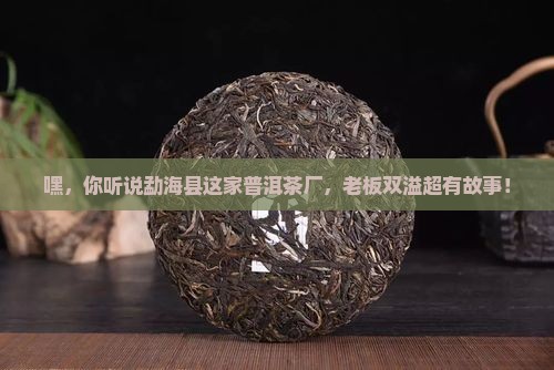 勐海县双溢普洱茶厂 勐海县双溢普洱茶厂