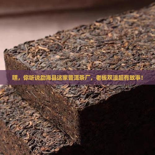 勐海县双溢普洱茶厂 勐海县双溢普洱茶厂