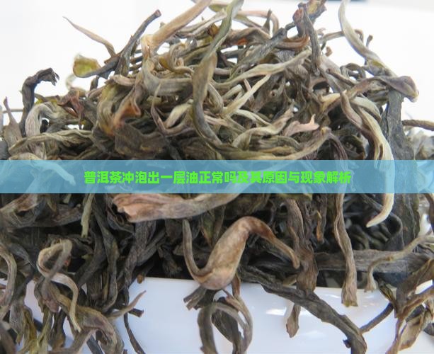 普洱茶冲泡出一层油