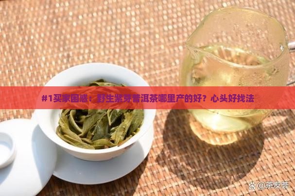 野生紫芽普洱茶普洱紫芽茶产地