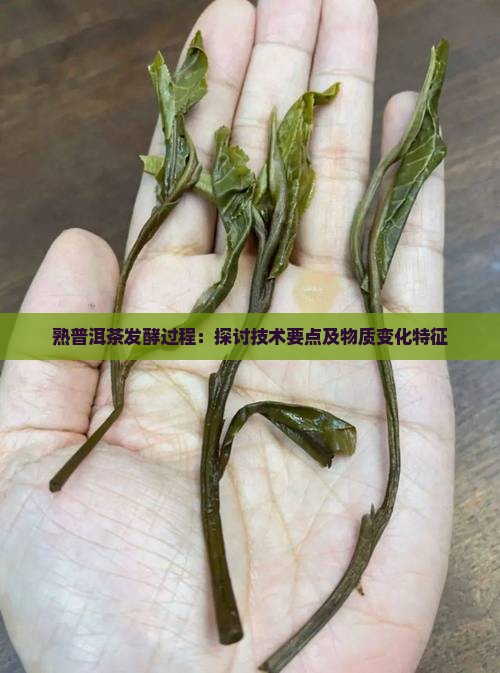 熟普洱茶发酵过程