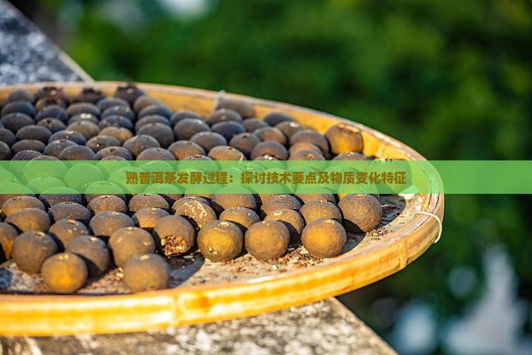 熟普洱茶发酵过程