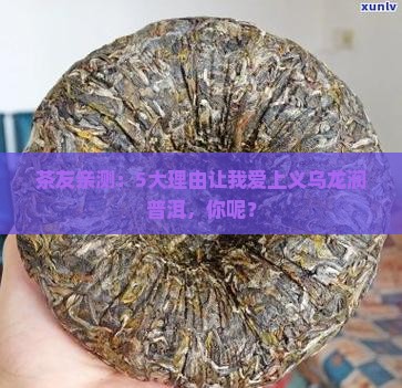 义乌龙润普洱茶