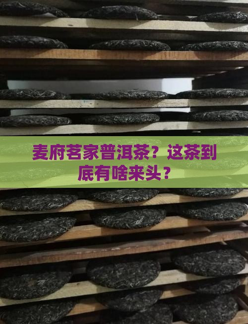 麦府茗家普洱茶