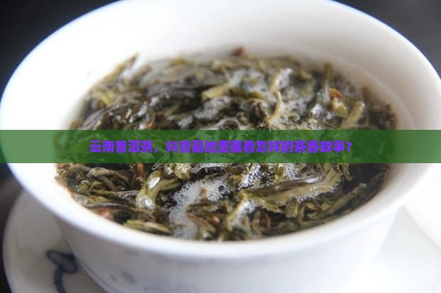 云南普洱茶抖音基地
