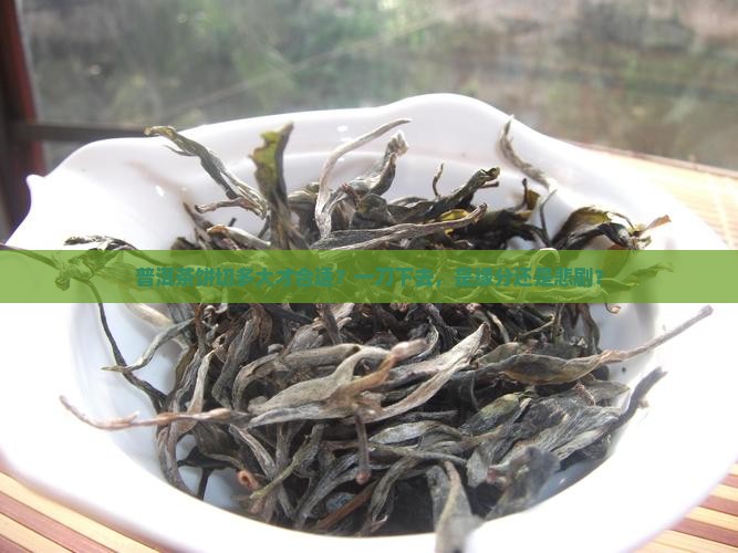 普洱茶饼要分多大合适