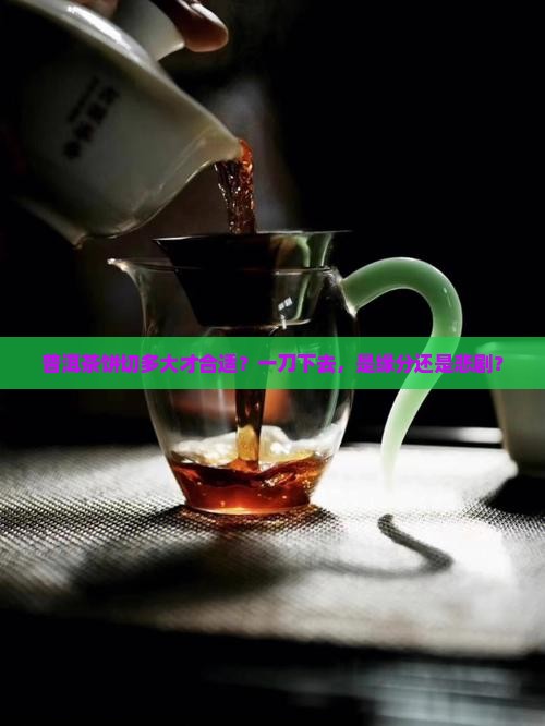 普洱茶饼要分多大合适