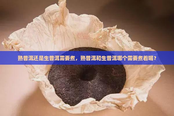 熟普洱还是生普洱需要煮
