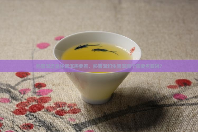 熟普洱还是生普洱需要煮