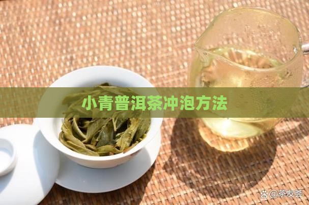 小青桔普洱茶的做法