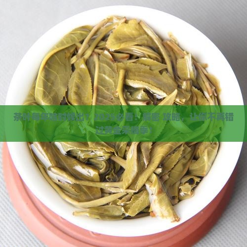 茶叶每年什么时候出