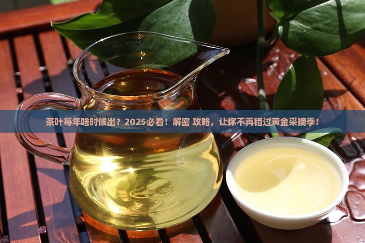 茶叶每年什么时候出