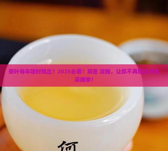 茶叶每年什么时候出