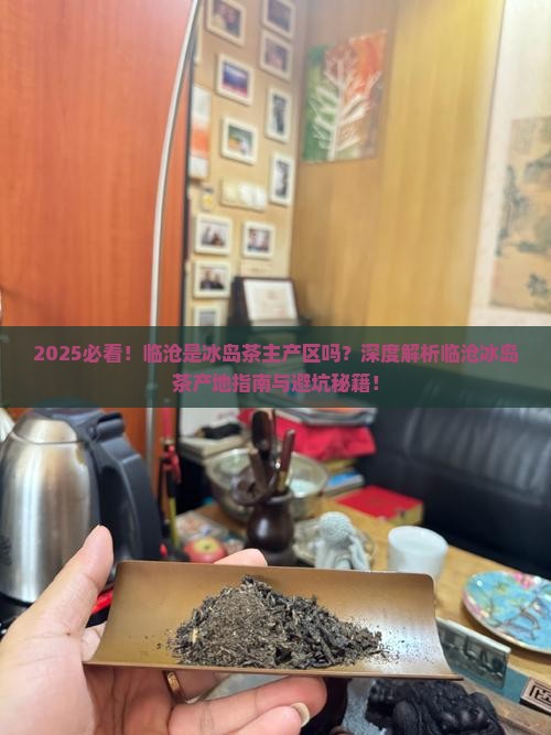 临沧是冰岛茶的主产区吗