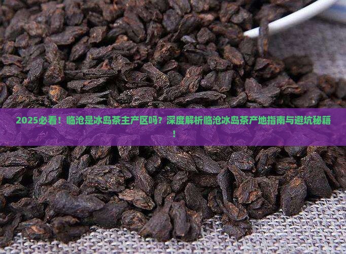 临沧是冰岛茶的主产区吗