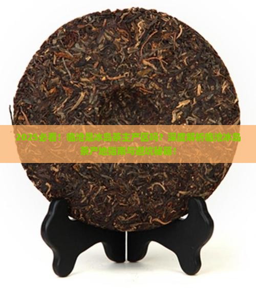 临沧是冰岛茶的主产区吗