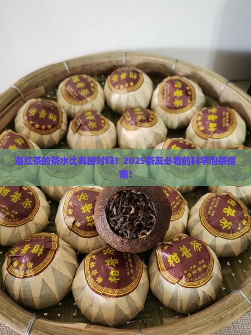 泡红茶的茶水比