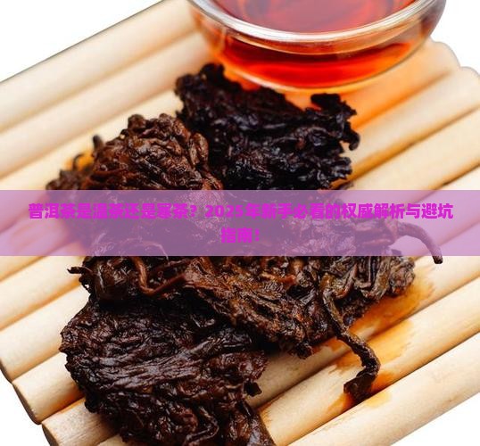 普洱茶是温茶是寒荼吗为什么