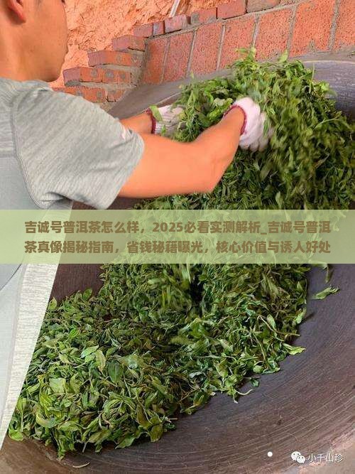 吉诚号普洱茶怎么样