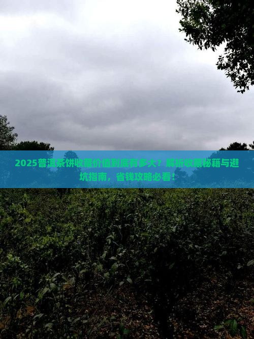 普洱茶饼有购买藏价值吗
