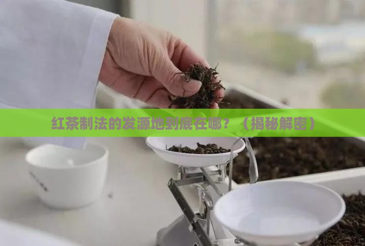 红茶制法的发明地是