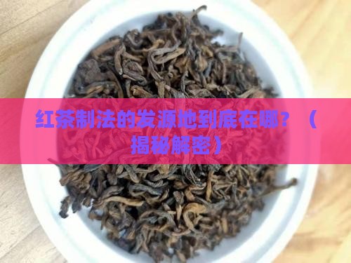 红茶制法的发明地是