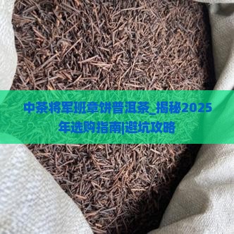 中茶将军班章饼普洱茶 中茶将军班章饼普洱茶