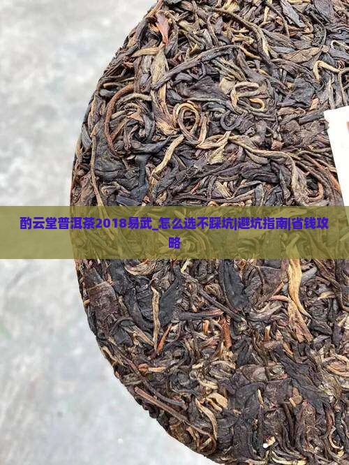 酌云堂普洱茶2018易武