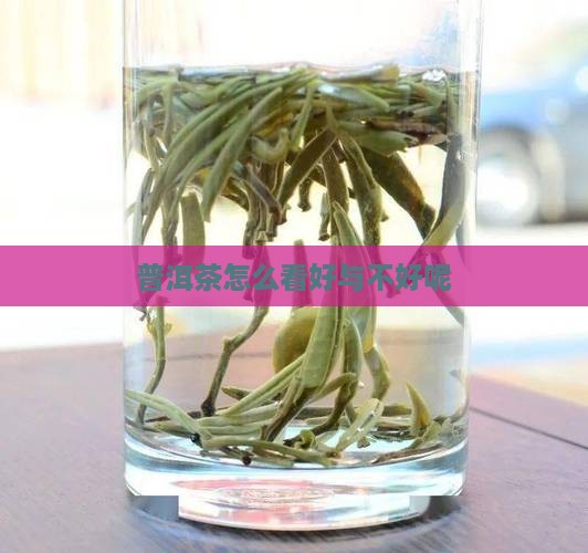 普洱茶怎么看好与不好呢