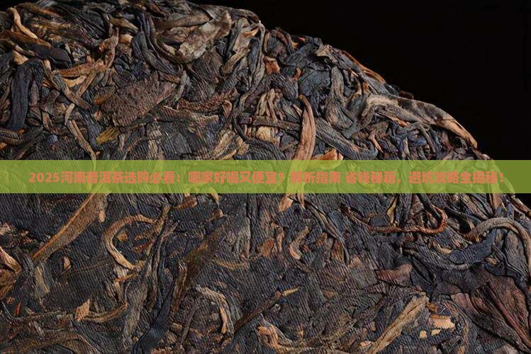 河南普洱茶选哪家好喝又便宜