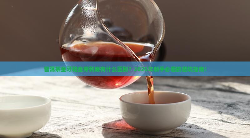 普洱茶金牙和金芽