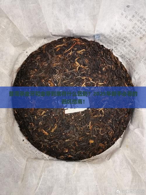 普洱茶金牙和金芽