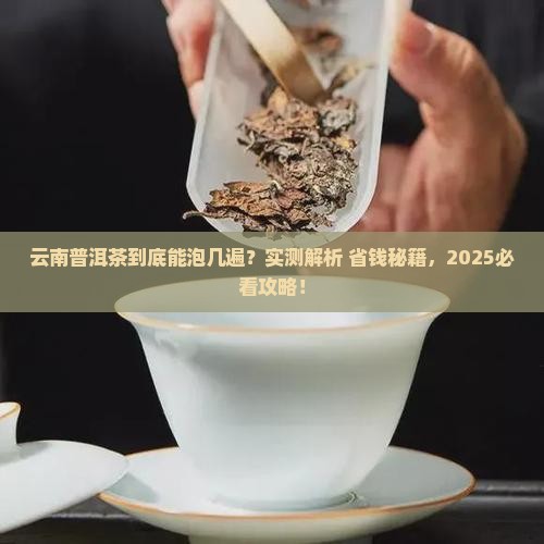 云南普洱茶泡几遍