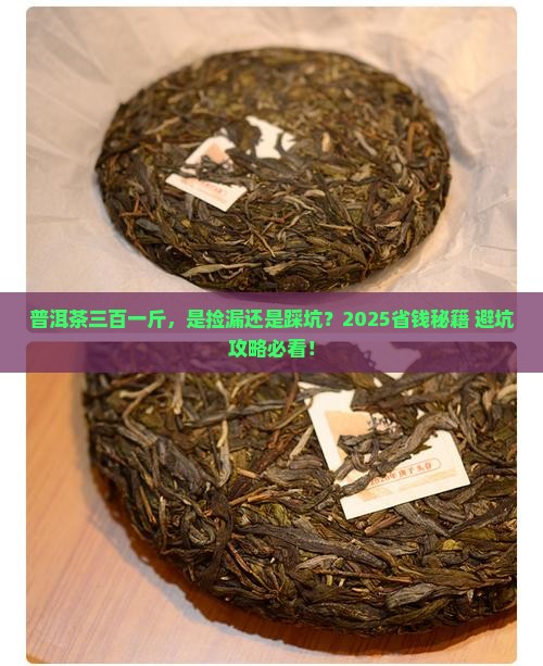 普洱茶三百一斤