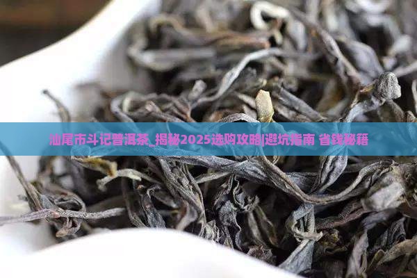 汕尾市斗记普洱茶