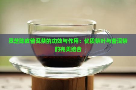 灵芝陈皮普洱茶