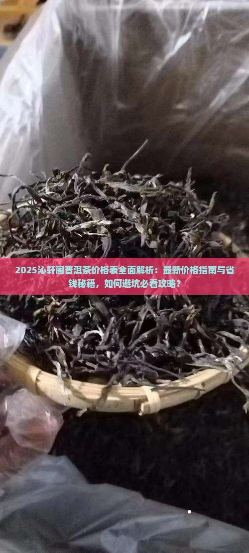沁轩阁普洱茶价格表