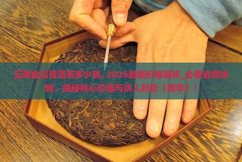 云南金瓜普洱茶多少钱
