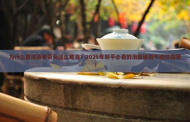 普洱茶老茶头一般怎么泡