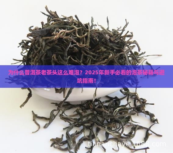 普洱茶老茶头一般怎么泡
