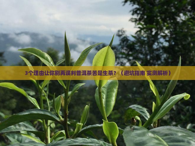 普洱茶苦是生茶吗