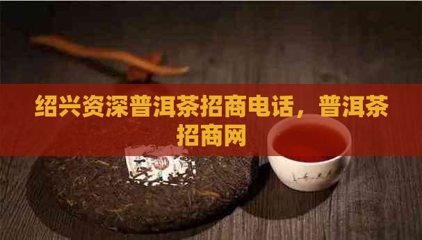 绍兴资深普洱茶招商
