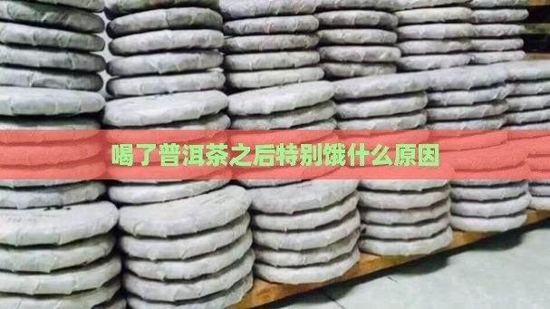 喝了普洱茶之后特别饿什么原因