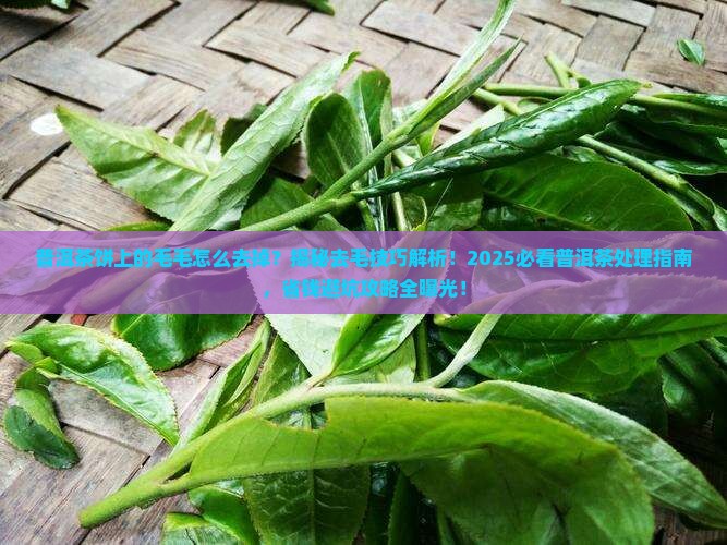 普洱茶饼上的毛毛怎么去掉